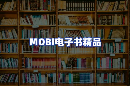 外文电子书产品
