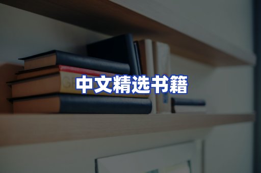 中文精选书籍